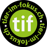 tif-logo_rund-01png__1647x1647_q85_subsampling-2.png__1647x1647_q85_subsampling-2